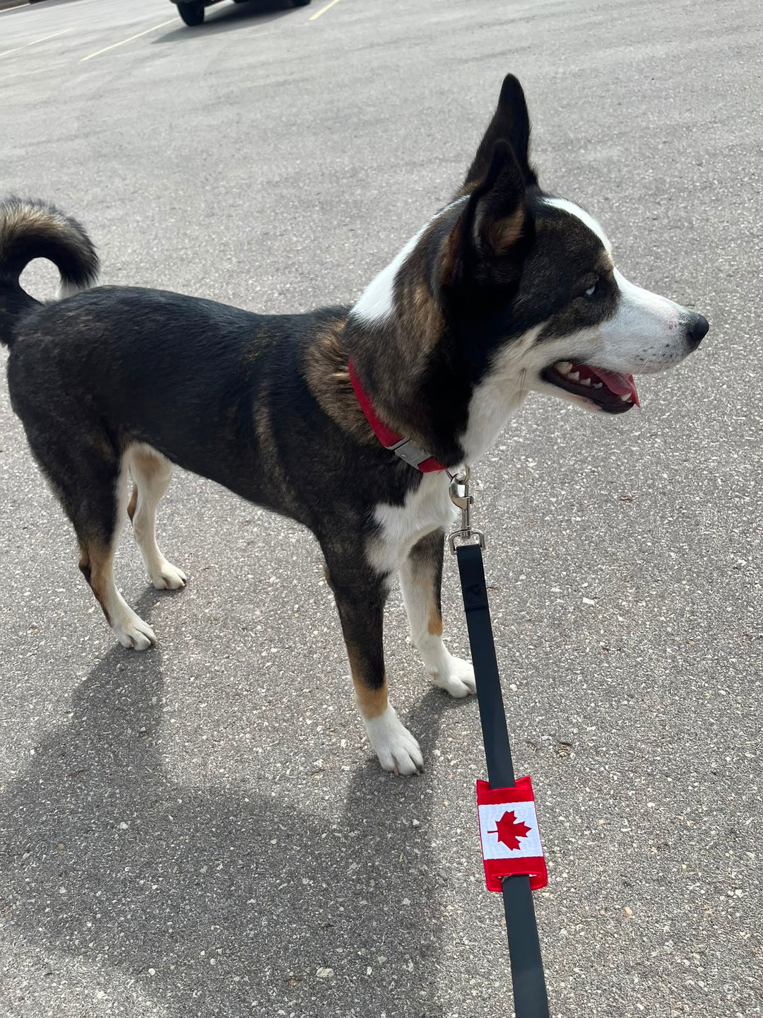 Canada Leash Sleeve