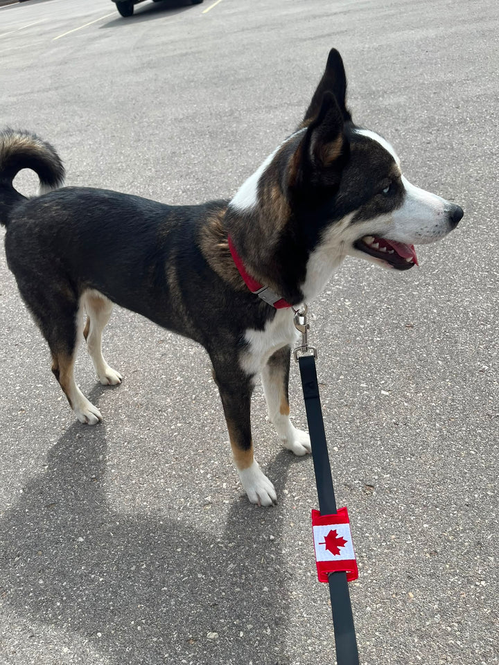 Canada Leash Sleeve