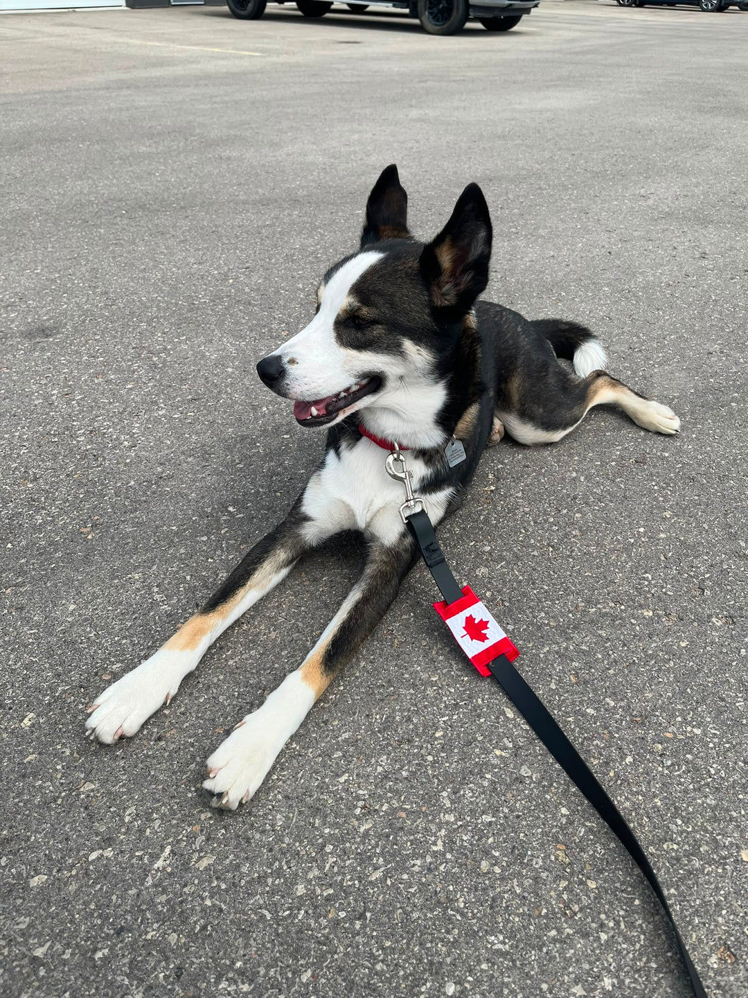 Canada Leash Sleeve