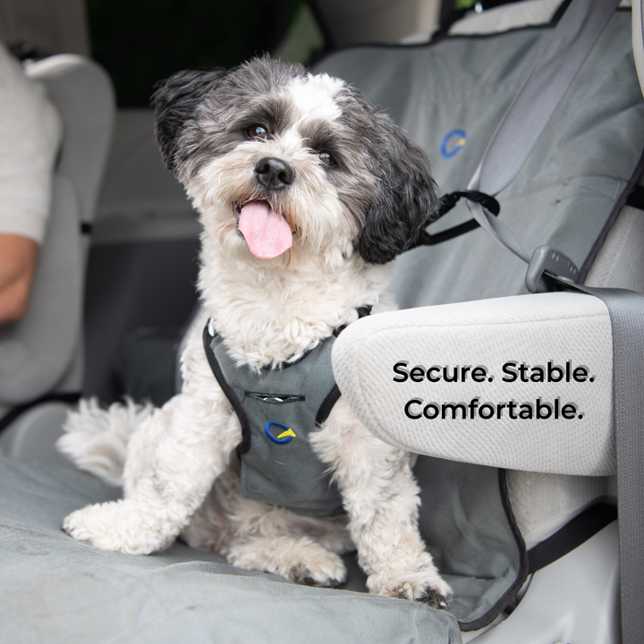 Crash Safe Dog Defender Harness
