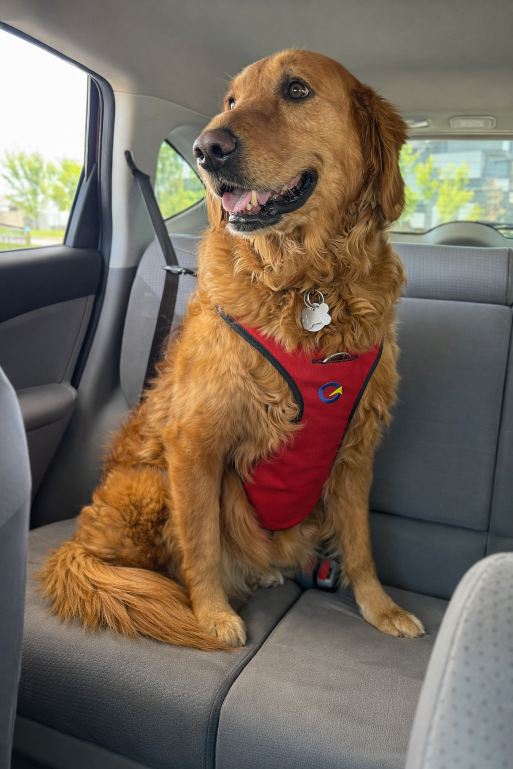 Crash Safe Dog Defender Harness