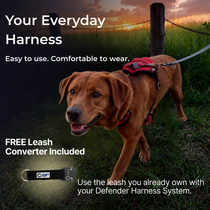 Defender Harness System