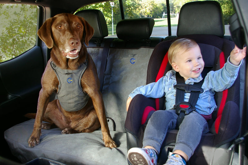 Dog crash tested seat belt harness