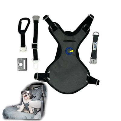 Canine Health Canada Exclusive OG Defender Harness