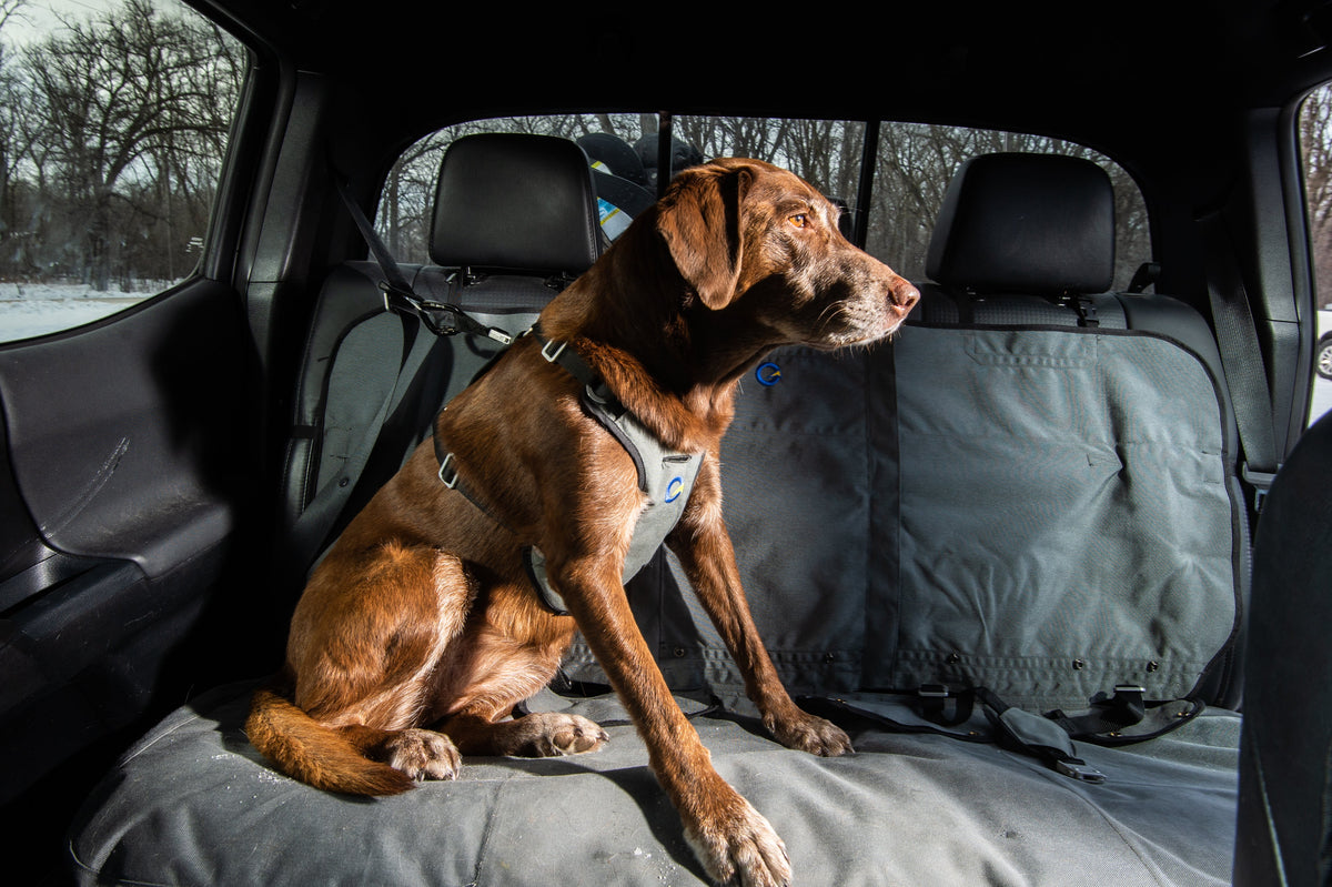 Crash Safe Dog Defender Harness – Optimus Gear