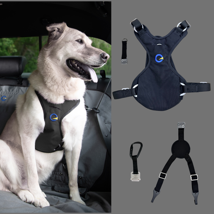 Crash Safe Defender Harness System + Free Grey Collar (Limited-Time Bonus)