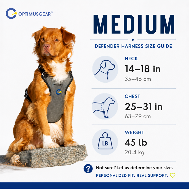 Defender harness size guide: Medium. Neck 14–18 in, chest 25–31 in, weight 45 lb