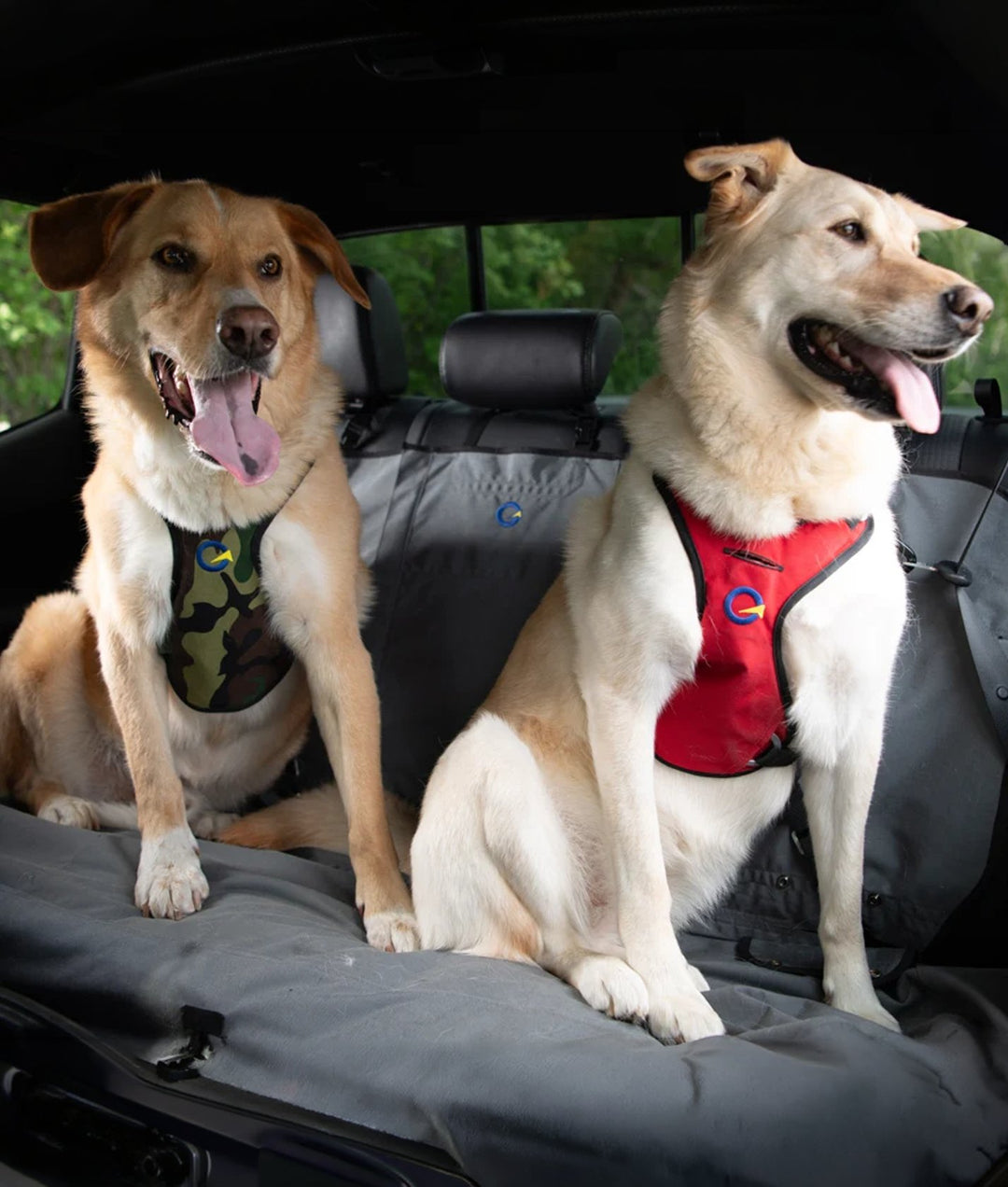 Defender Harness Consultation