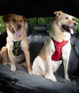 Defender Harness Consultation