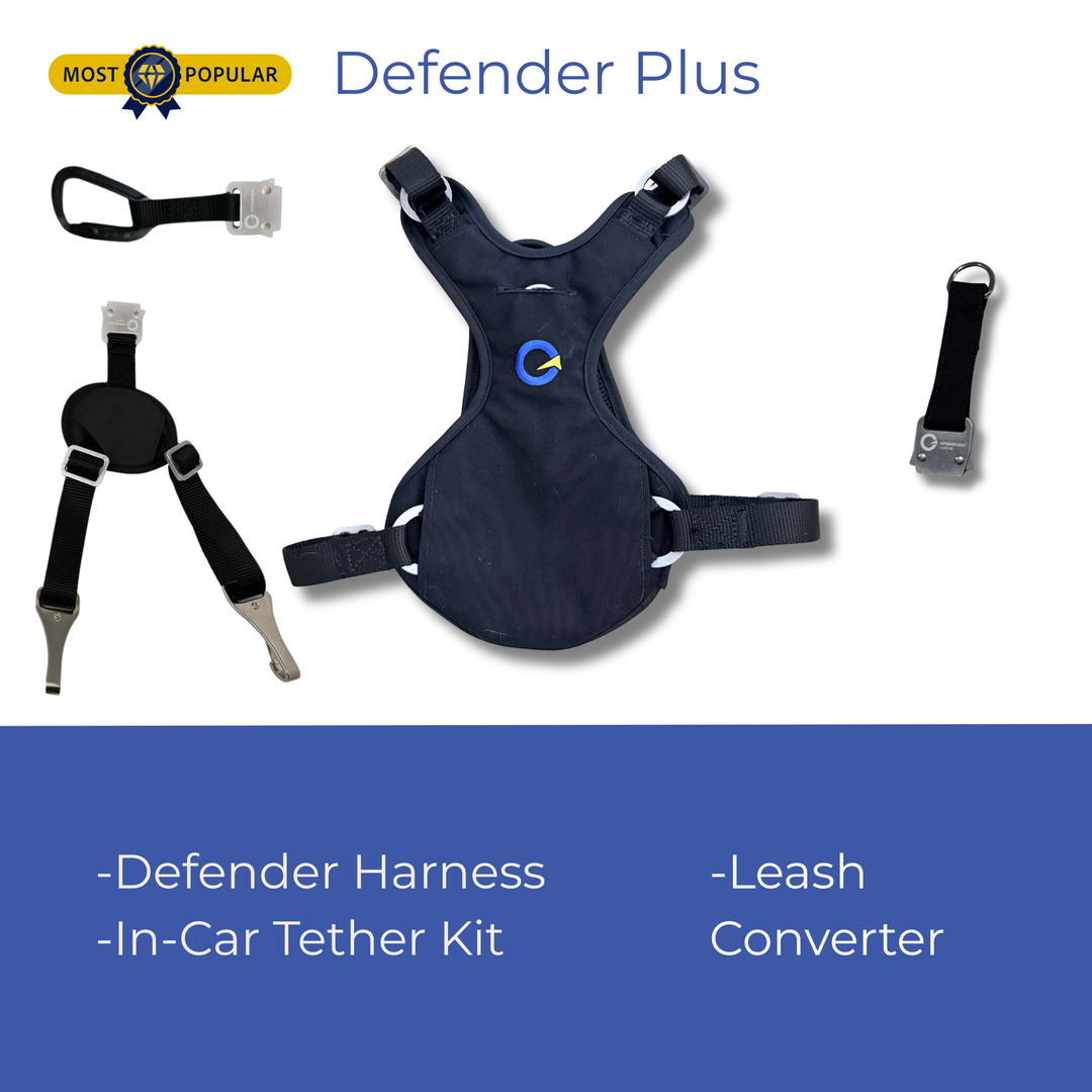 Crash Safe Dog Defender Harness