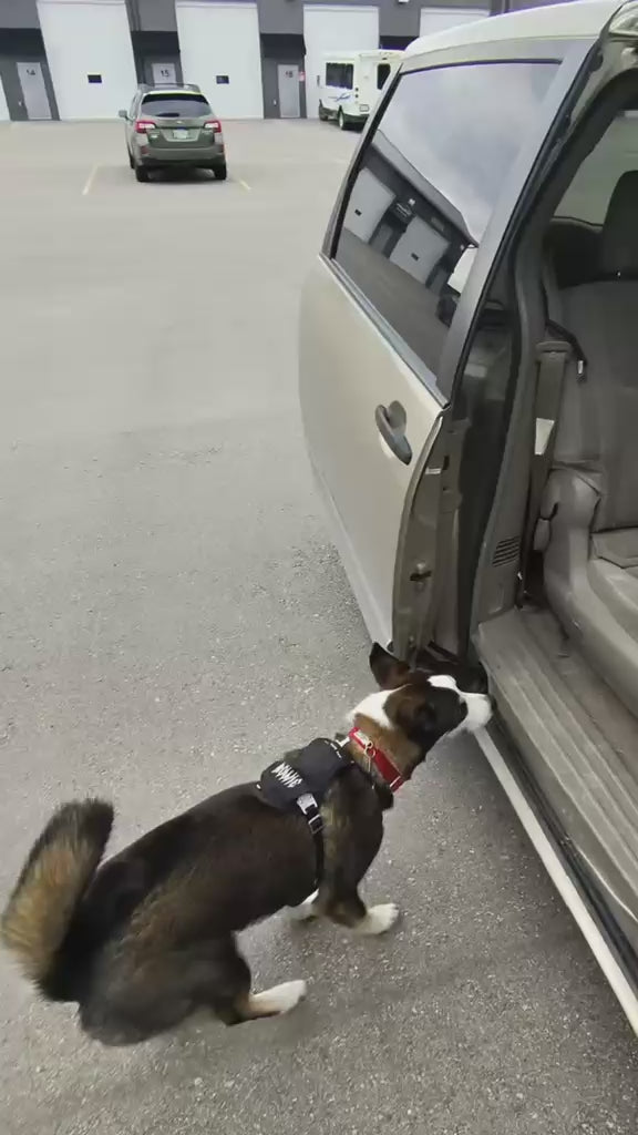 Defender Harness System
