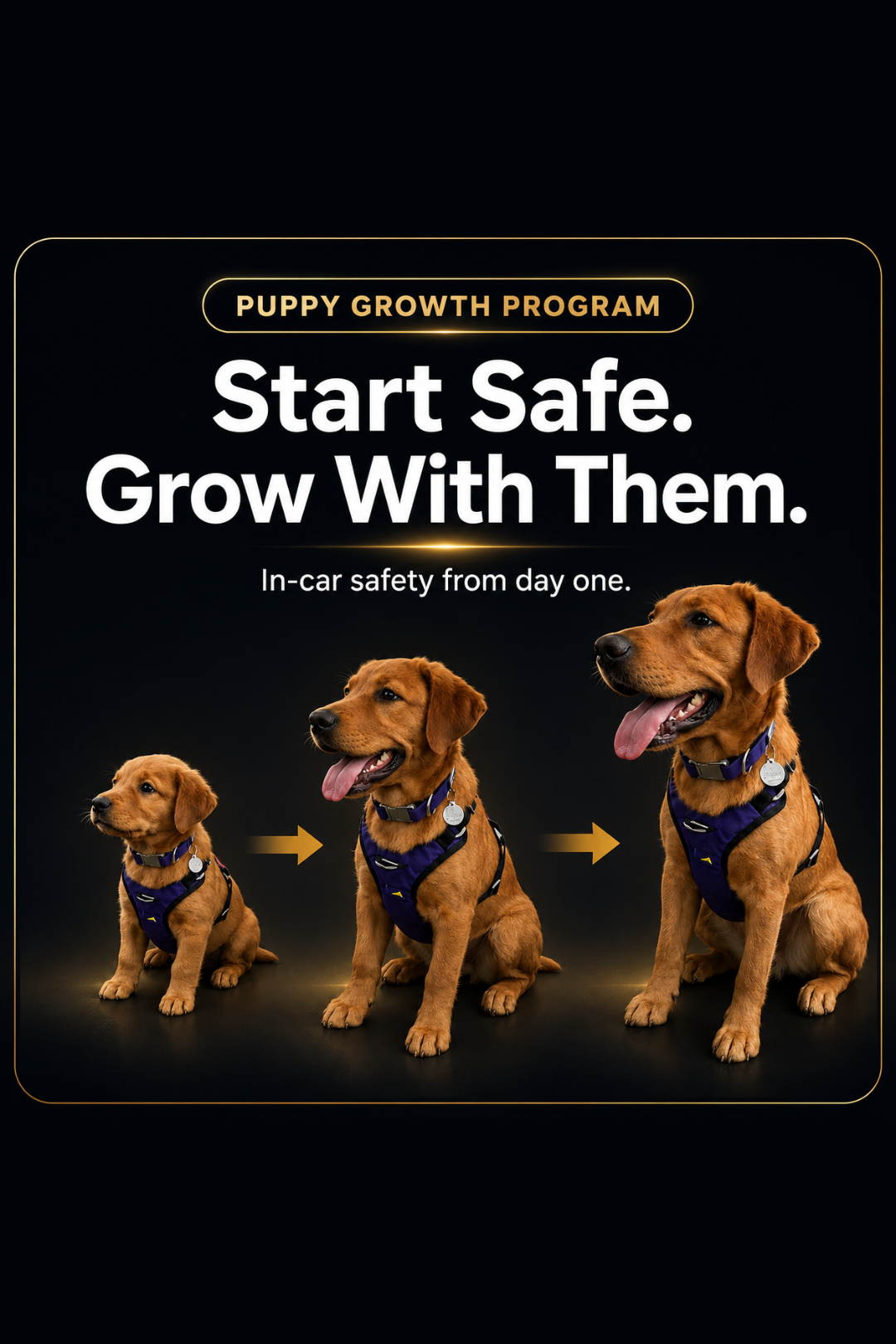 Puppy Growth Program
