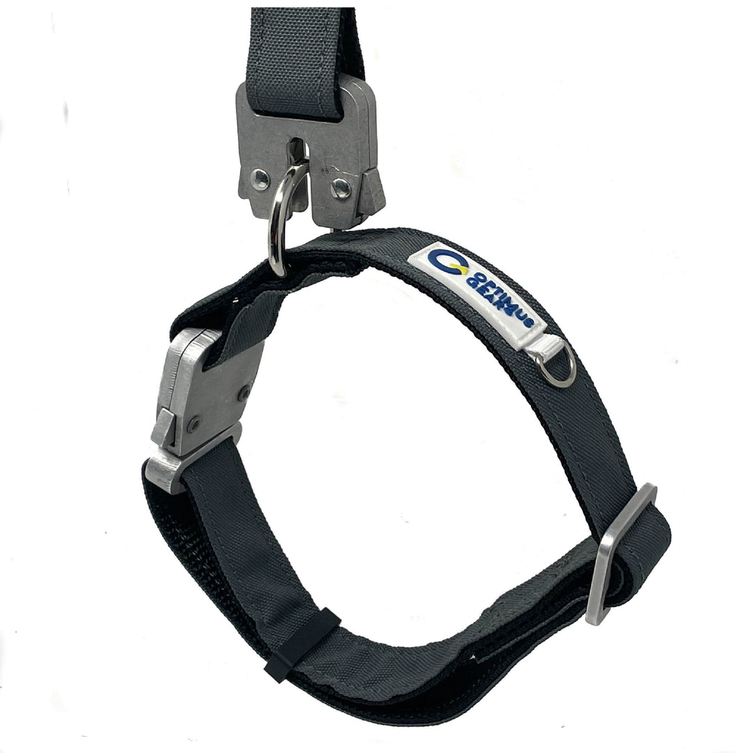 Quick Release Collar